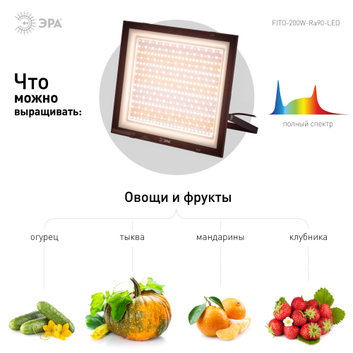 Б0059879